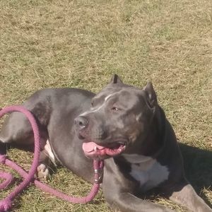 Meet your Posher, Alexander